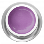 Farbgel Feenstaub Lila